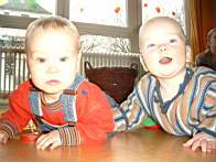 Bild0387.jpg